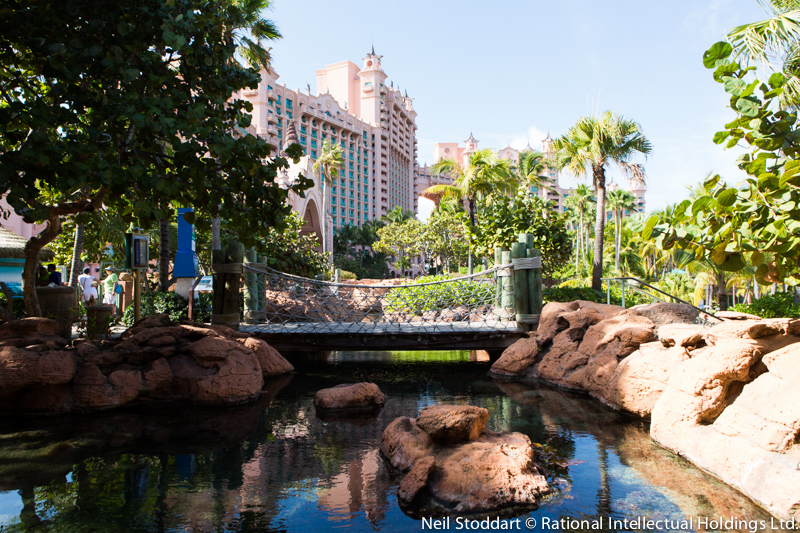 PCA-PSPC-2019--Neil Stoddart3603